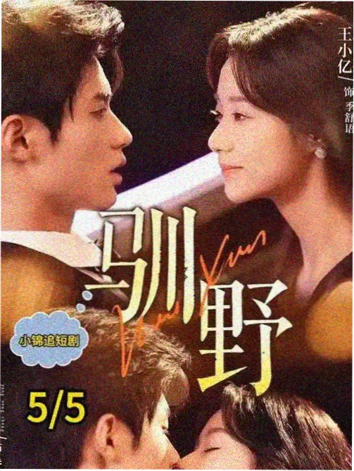 日剧海雾中的信使在线观看